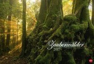 Zauberwälder 2017