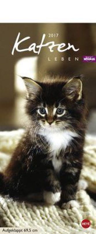 Whiskas Katzenleben 2017