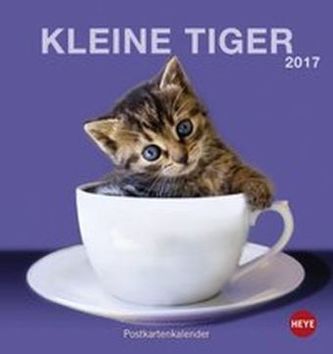 Katzen Postkartenkalender 2017