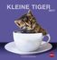 Katzen Postkartenkalender 2017