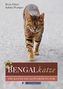 Bengalkatze