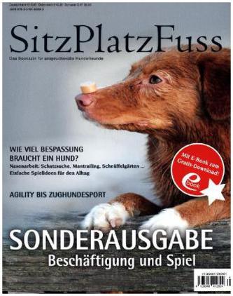 Sonderausgabe: Beschäftigung und Spiel
