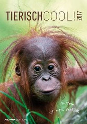 Tierisch cool! 2017