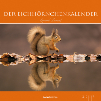 Der Eichhörnchenkalender 2017