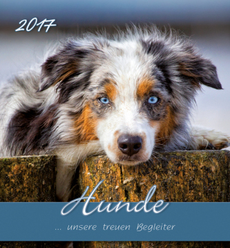 Hunde 2017, Postkartenkalender