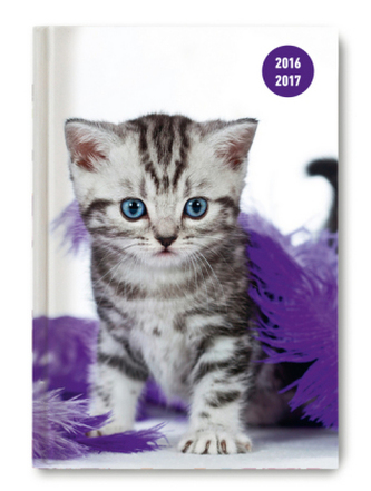 Collegetimer A5 Cat 2016/2017