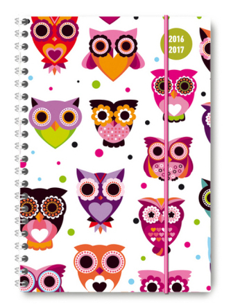 Collegetimer A5 Owls 2016/2017 - Ringbuch