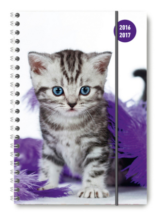 Collegetimer A5 Cat 2016/2017 - Ringbuch