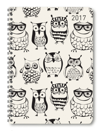 Ladytimer Ringbuch Owls 2017 - A5