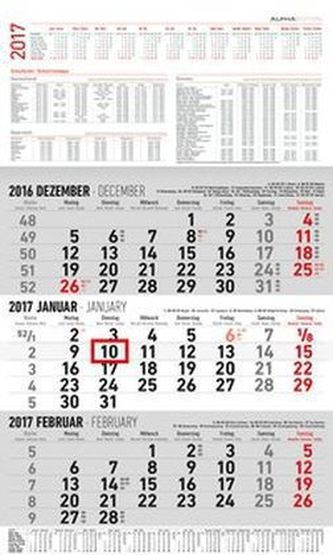 3-Monatskalender groß 2017