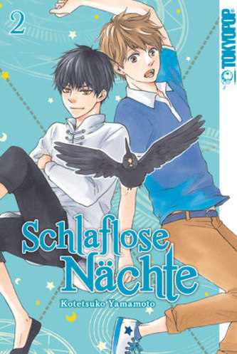 Schlaflose Nächte. Bd.2