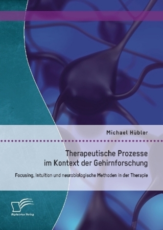 Therapeutische Prozesse im Kontext der Gehirnforschung