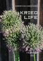 Krieg / Life