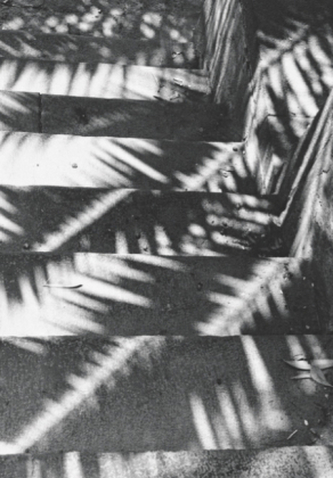 Jochen Lempert. Composition