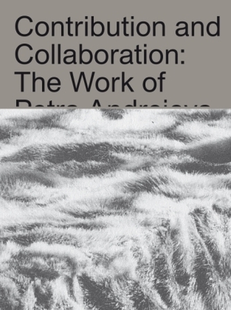 Katarina Burin. Contribution and Collaboration: The Work of Petra Andrejova-Molnár and her Contemporaries