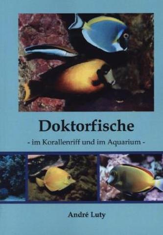 Doktorfische im Korallenriff und im Aquarium