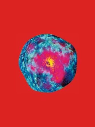 Pipilotti Rist: Dein Speichel ist mein Taucheranzug im Ozean des Schmerzes