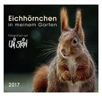 Eichhörnchen in meinem Garten 2017