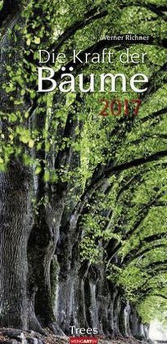 Die Kraft der Bäume 2017