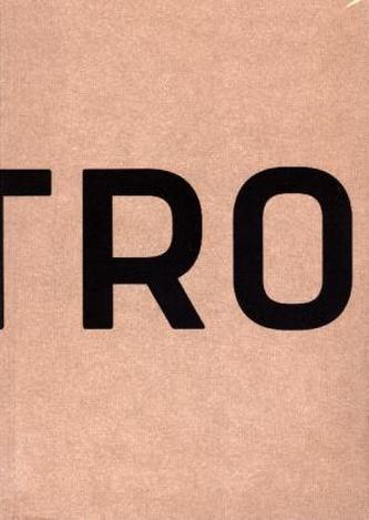 Learning from Detroit