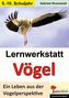 Lernwerkstatt Vögel