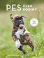 Pes – člen rodiny