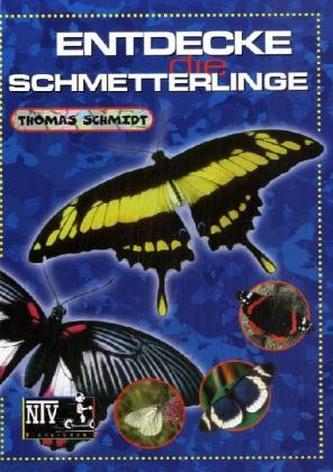 Entdecke die Schmetterlinge