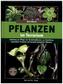 Pflanzen im Terrarium
