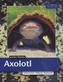 Axolotl