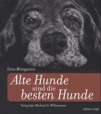 Alte Hunde sind die besten Hunde