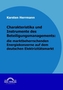 Charakteristika und Instrumente des Beteiligungsmanagements, die marktbeherrschenden Energiekonzerne auf dem deutschen Elektrizi