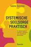 Systemische Seelsorge praktisch