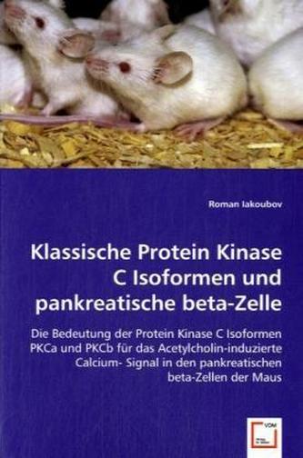 Klassische Protein Kinase C Isoformen und pankreatische beta-Zelle