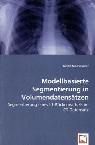 Modellbasierte Segmentierung in Volumendatensätzen