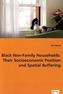 Black Non-Family Households