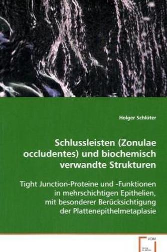 Schlussleisten (Zonulae occludentes) und biochemisch verwandte Strukturen