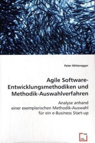 Agile Software-Entwicklungsmethodiken und Methodik-Auswahlverfahren