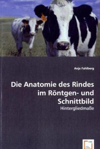 Die Anatomie des Rindes im Röntgen- und Schnittbild