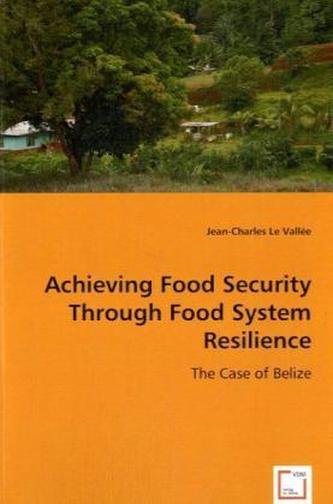 Achieving Food Security Through Food System Resilience