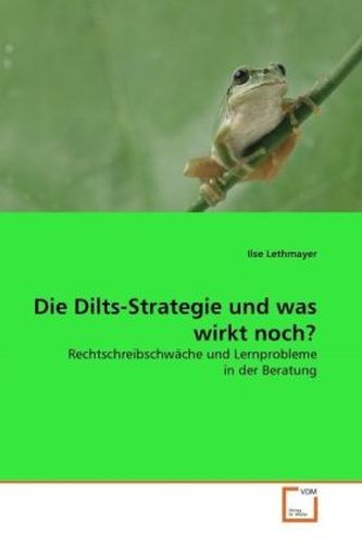 Die Dilts-Strategie und was wirkt noch?