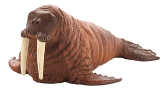 Mojo Animal Planet Mrož