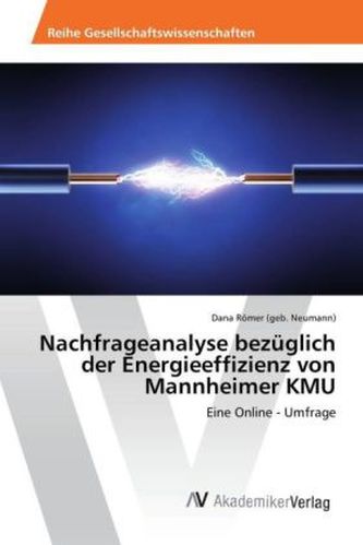 Nachfrageanalyse bezüglich der Energieeffizienz von Mannheimer KMU