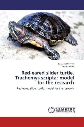 Red-eared slider turtle, Trachemys scripta: model for the research