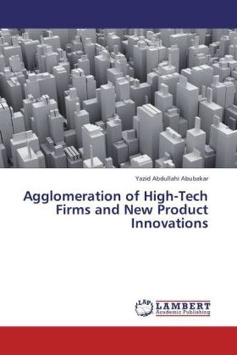 Agglomeration of High-Tech Firms and New Product Innovations