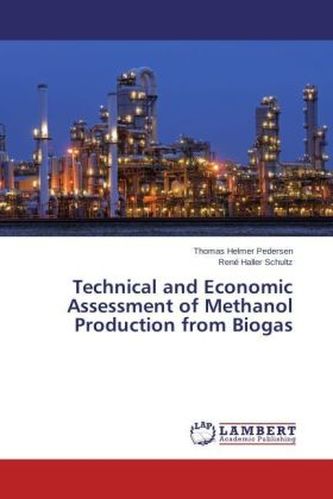 Technical and Economic Assessment of Methanol Production from Biogas
