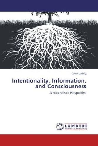 Intentionality, Information, and Consciousness