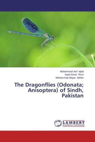 The Dragonflies (Odonata; Anisoptera) of Sindh, Pakistan