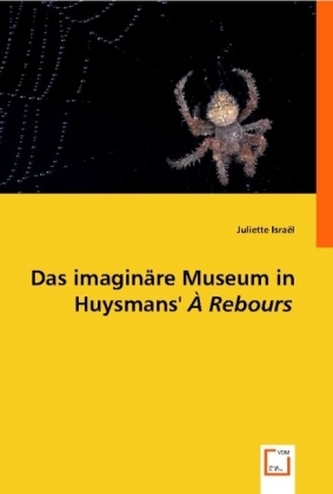 Das imaginäre Museum in Huysmans'  À Rebours