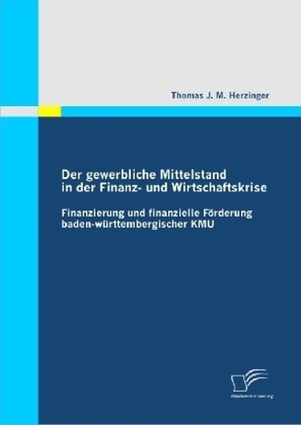 Der gewerbliche Mittelstand in der Finanz- und Wirtschaftskrise