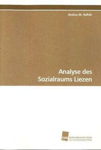 Analyse des Sozialraums Liezen